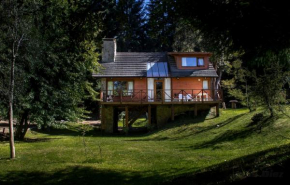 Mutisia Puerto Manzano Villa La Angostura